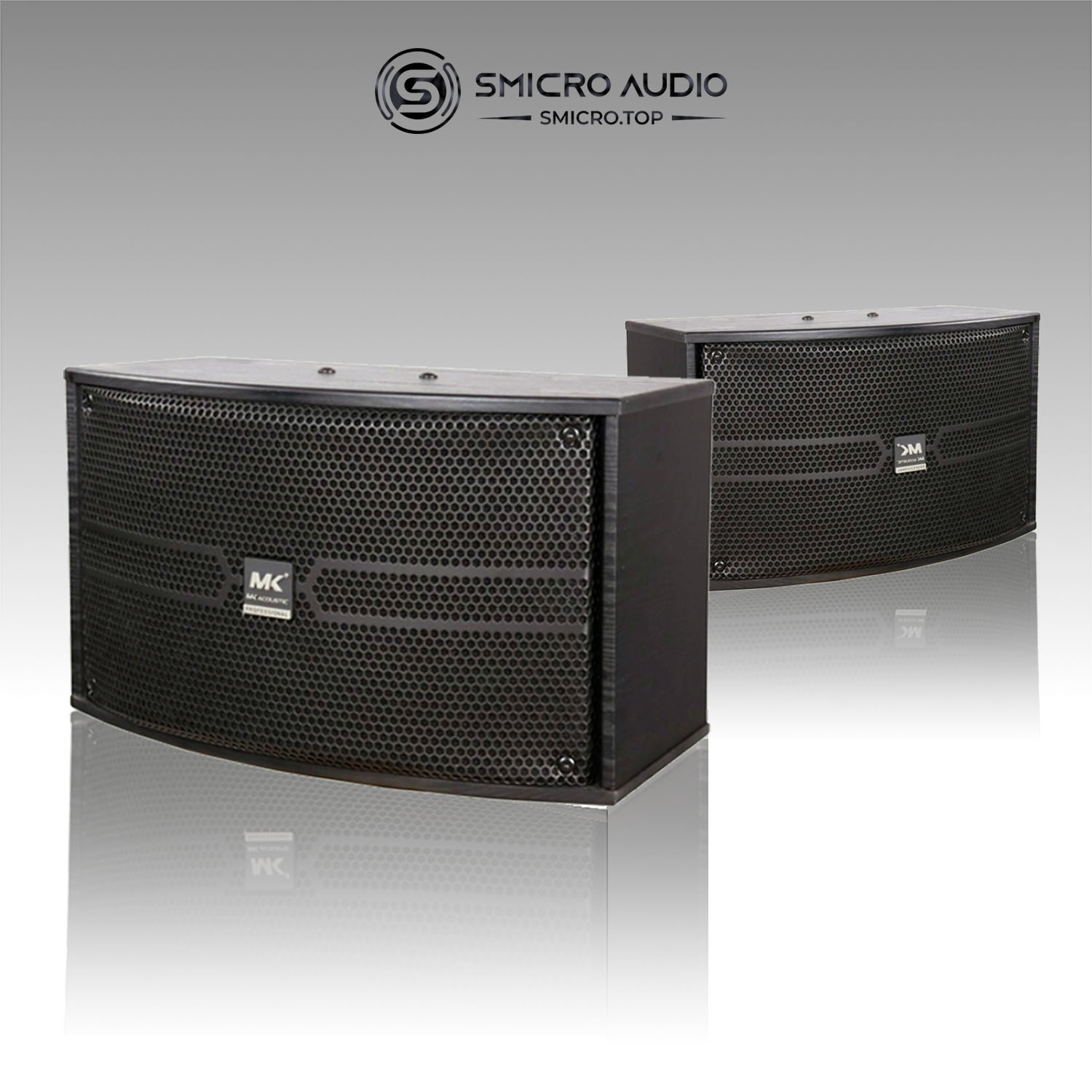 Combo Karaoke HP-10